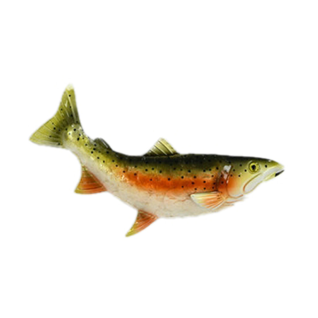 Trout
