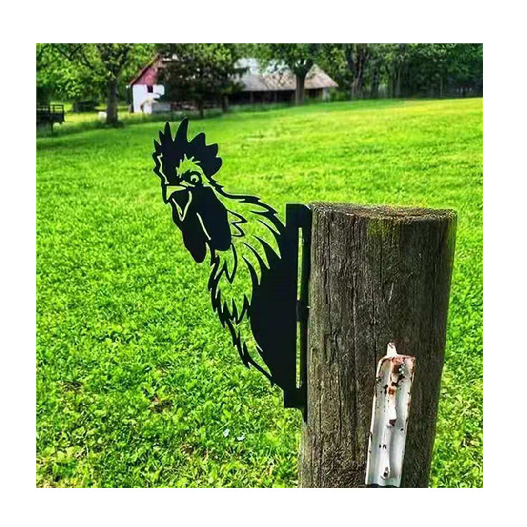 Peeping Rooster