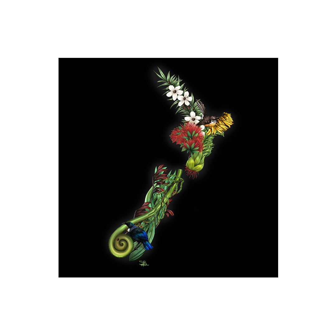 LED Canvas - NZ Fauna Map