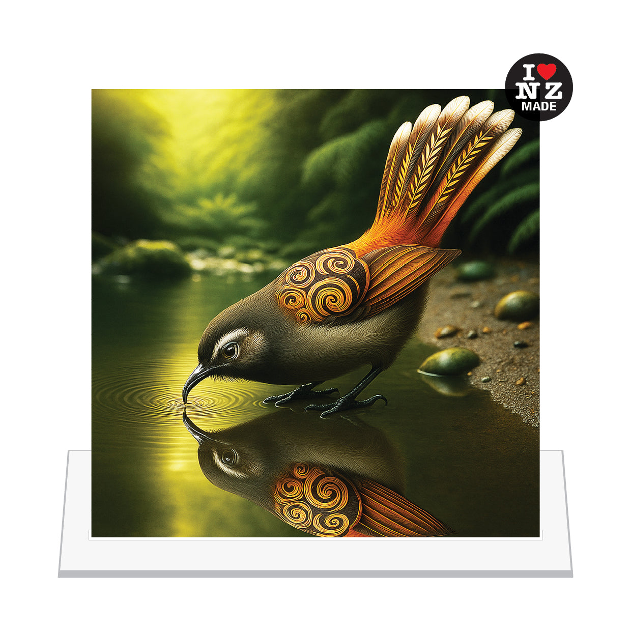 Fantail Reflection