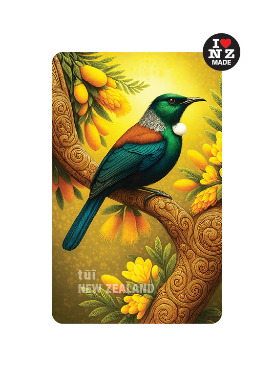 Tui in Kowhai