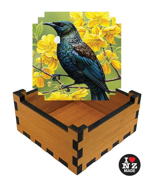 Tui in Kowhai