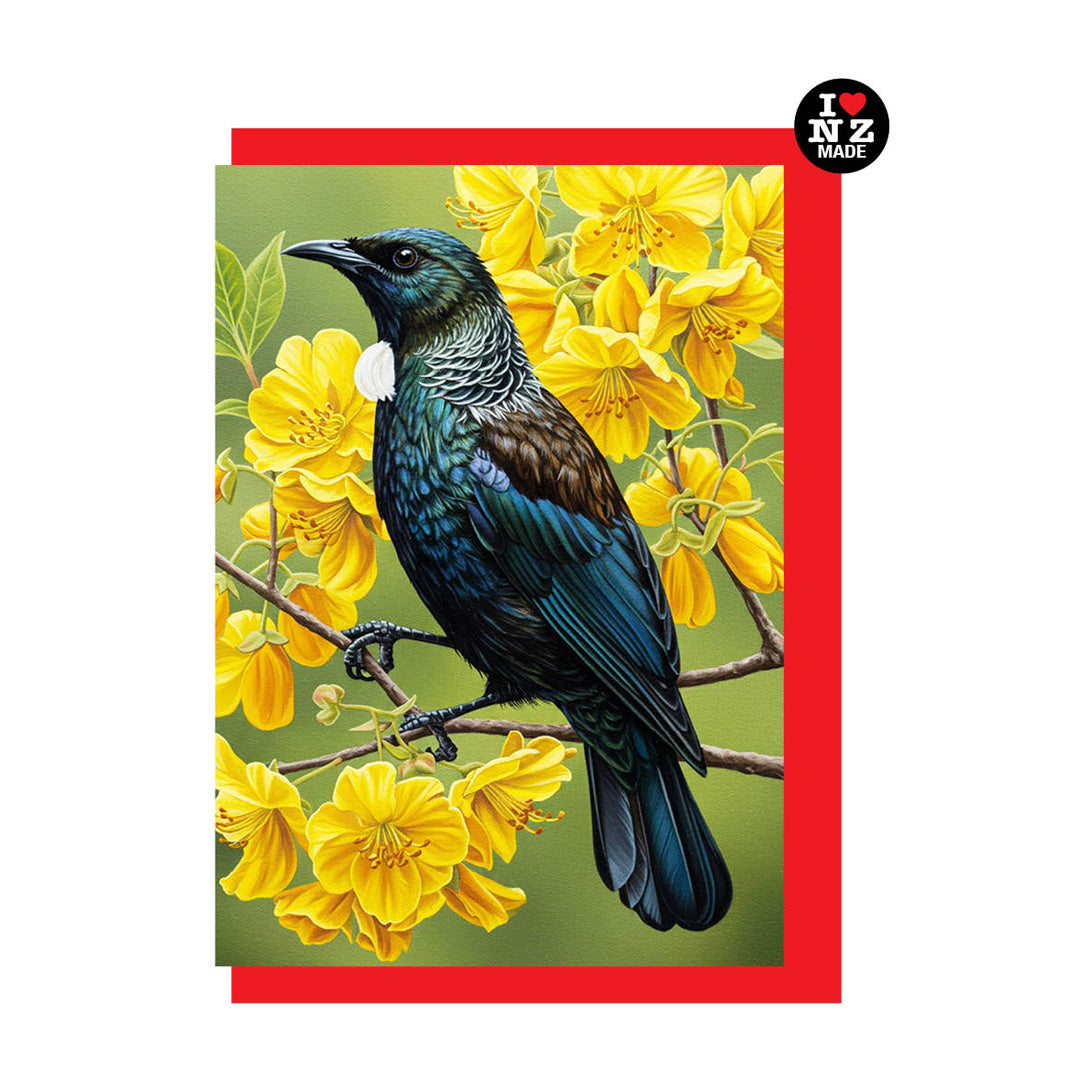 Tui in Kowhai