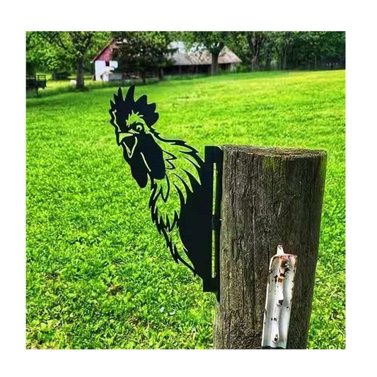 Peeping Rooster