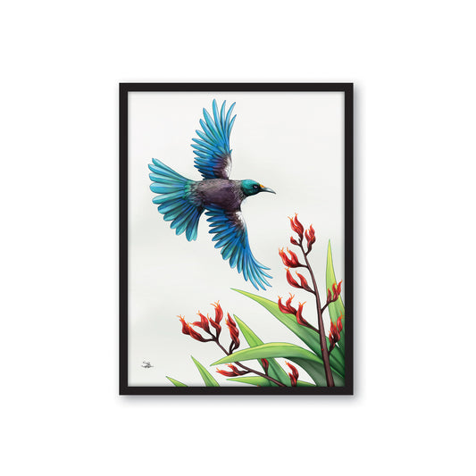 Framed Canvas Print - Tui in Flight