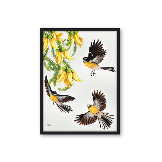 Framed Canvas Print - Fantail in Flight