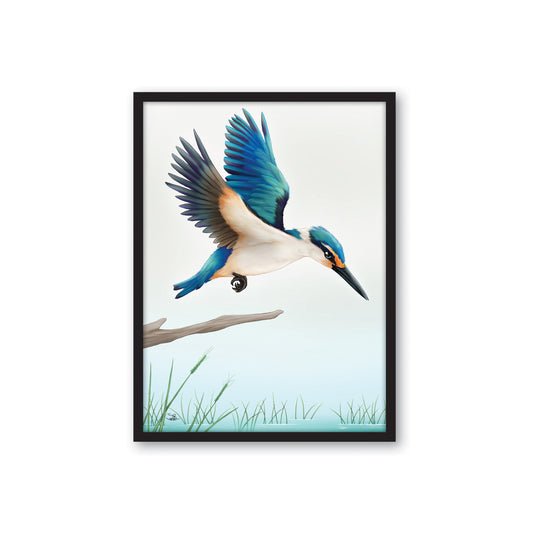 Framed Canvas Print - Kingfisher in Flight