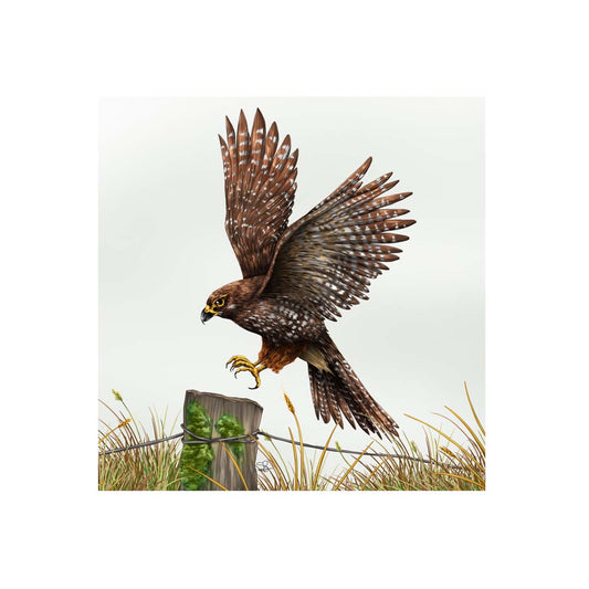 Tile - Falcon