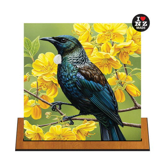 Tui in Kowhai