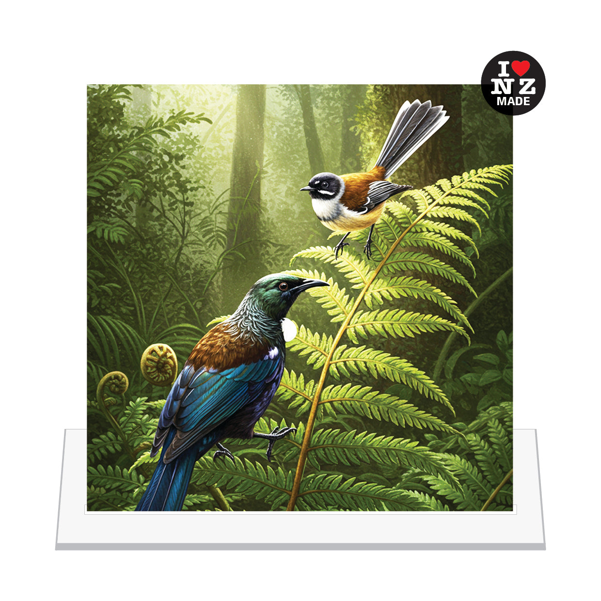 Tui and Fantail