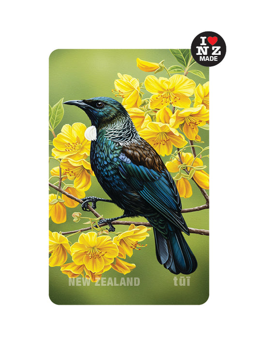 Tui in Kowhai