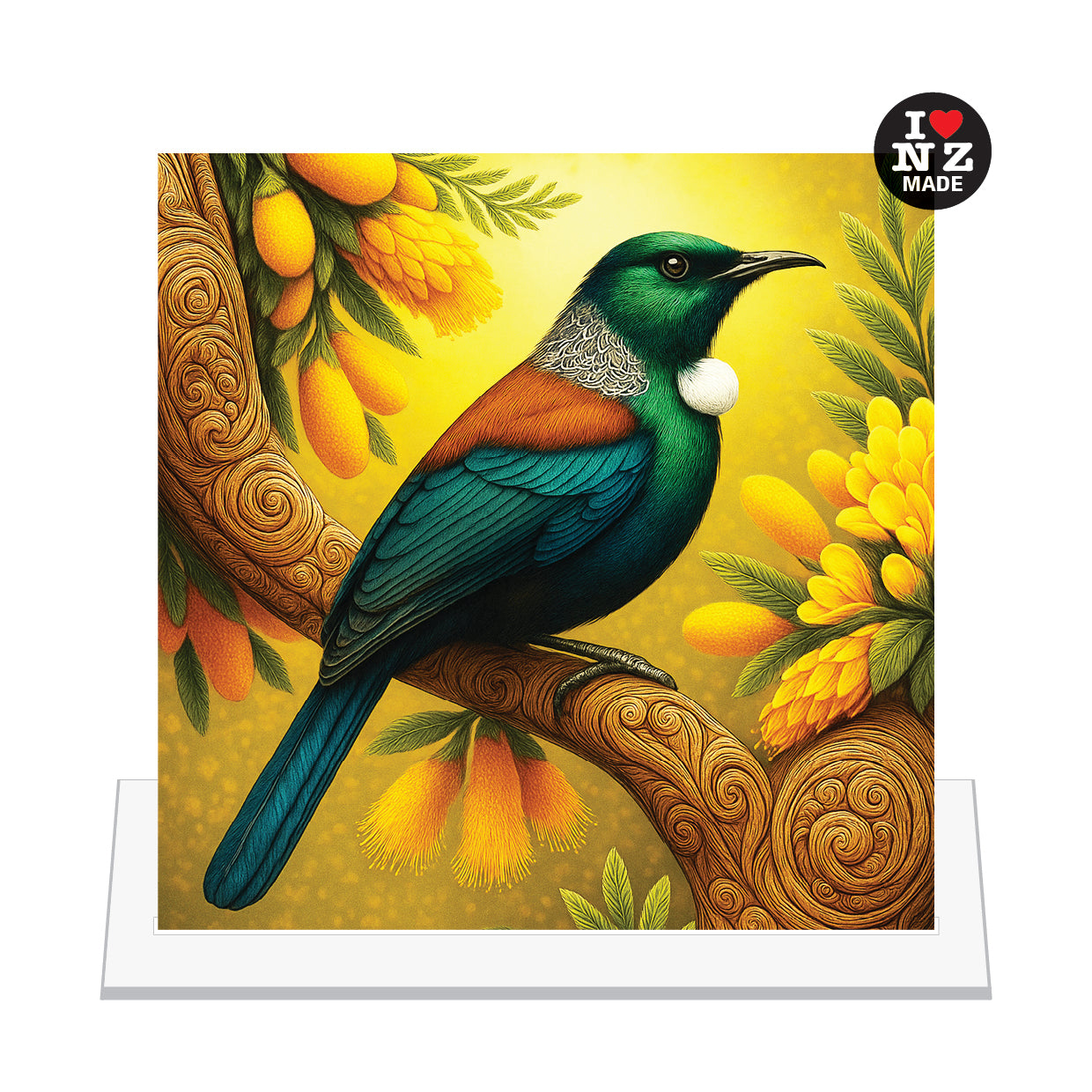 Tui in Kowhai