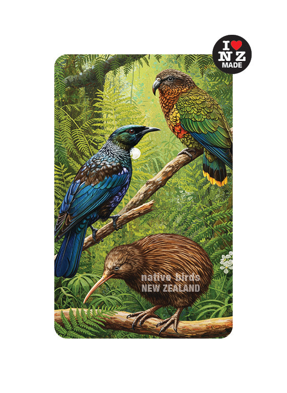 Kiwi, Tui & Kea
