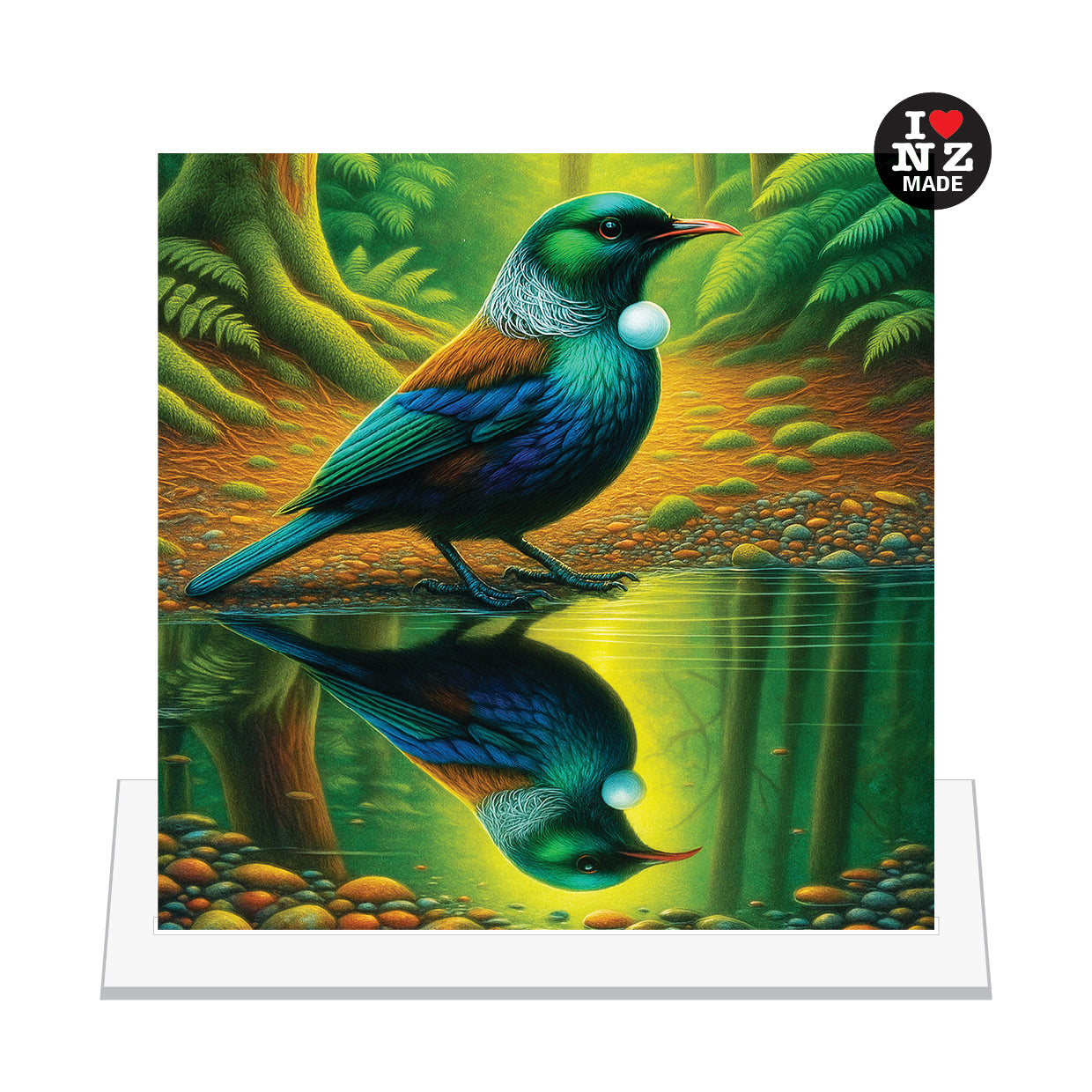 Tui Reflection