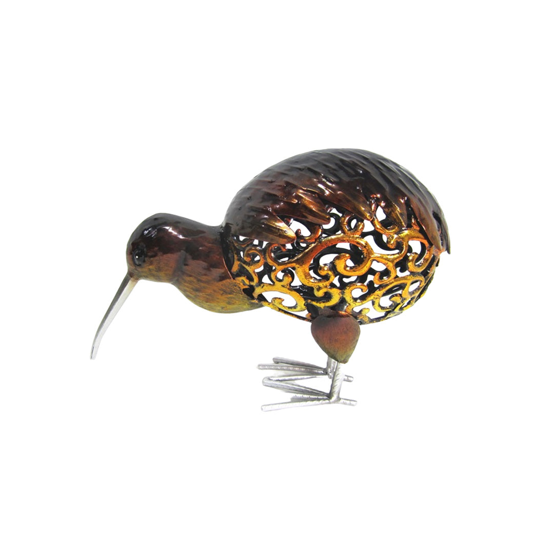 Kiwi - Feeding